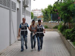HIRSIZI ALANYA'LILAR YAKALADI