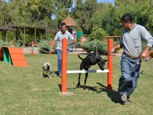 KONYAALTI’NDA SOKAK KÖPEKLERİ İÇİN EĞİTİM PARKURU