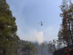 KUMLUCA'DA ORMAN YANGINI