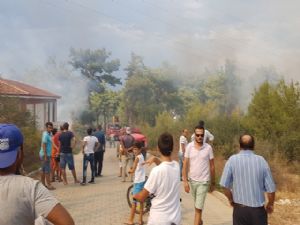 ANTALYA'DA ORMAN YANGINI PANİK YARATTI