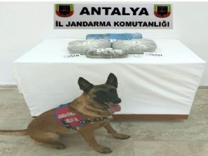 ANTALYA'DA NARKOTİK OPERASYON YAPTI