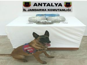 ANTALYA'DA  NARKOTİK OPERASYON YAPTI