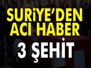 TSK : 3 ASKER ŞEHİT