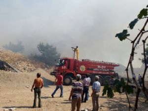 ANTALYA KEMER'DE ORMAN YANGINI