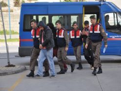 ALANYA'DA TOMRUK HIRSIZLARI SUÇÜSTÜ YAKALANDI