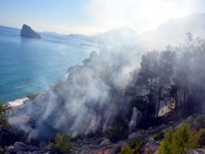 ANTALYA KEMER YOLUNDA ORMAN YANGINI