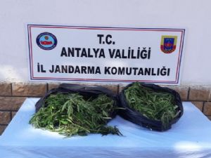 ANTALYA'DA UYUŞTURUCU OPERASYONU