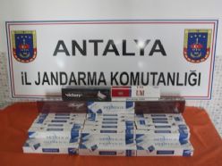 ANTALYA JANDARMA'DAN BÜYÜK OPERASYON !!!