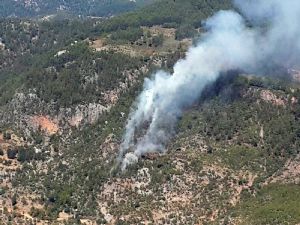 ANTALYA'DA ORMAN YANGINI