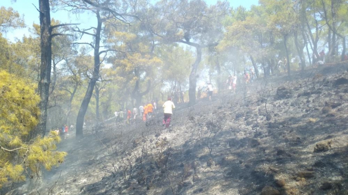 KEMER'DE ORMAN YANGINI
